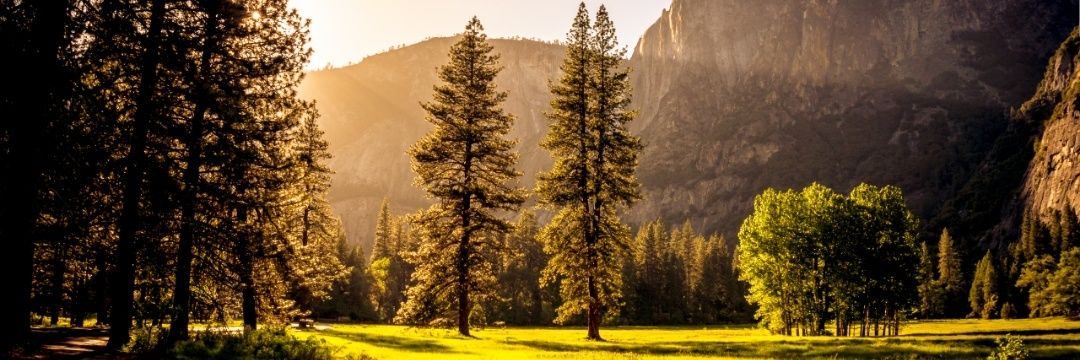 TaygaOutdoor's profile banner image