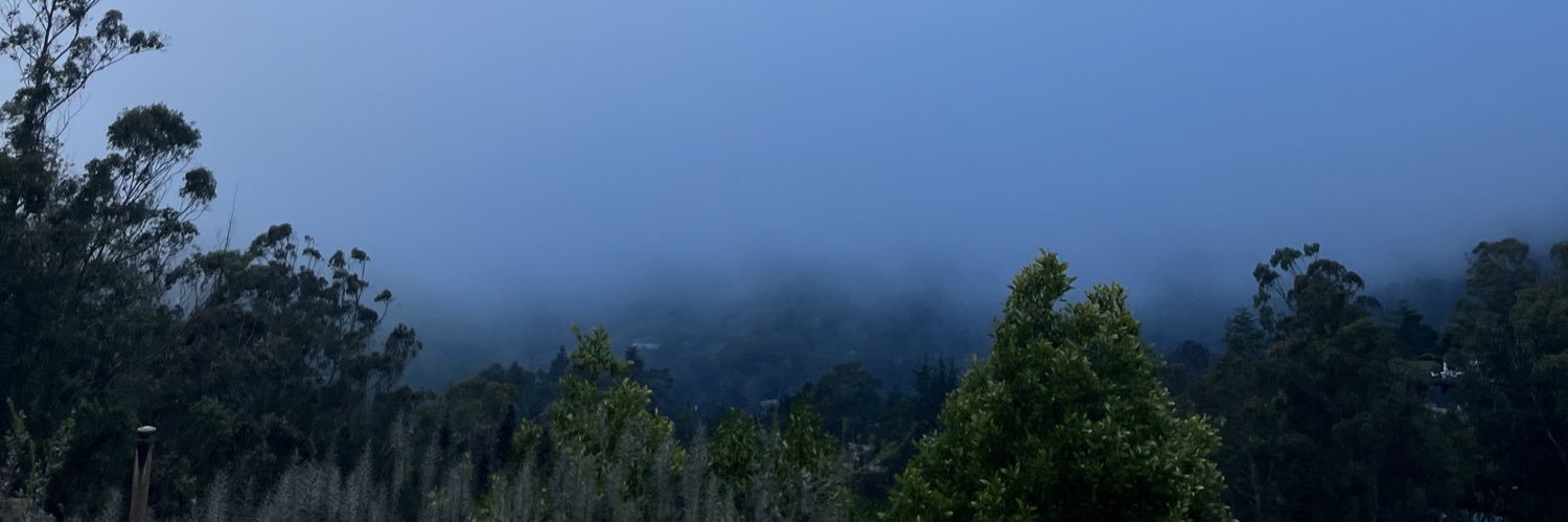 Laylalikes's profile banner image