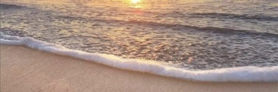 Proverbs31Aunty's profile banner image