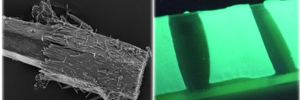 schmidtpolylab Profile Banner