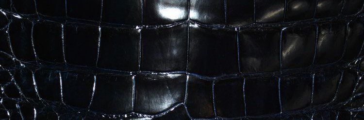qkNius's profile banner image