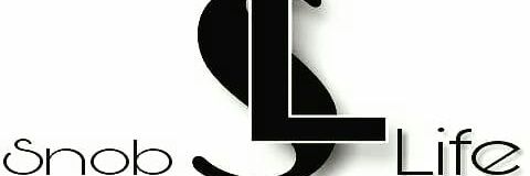 LifeSnob's profile banner image