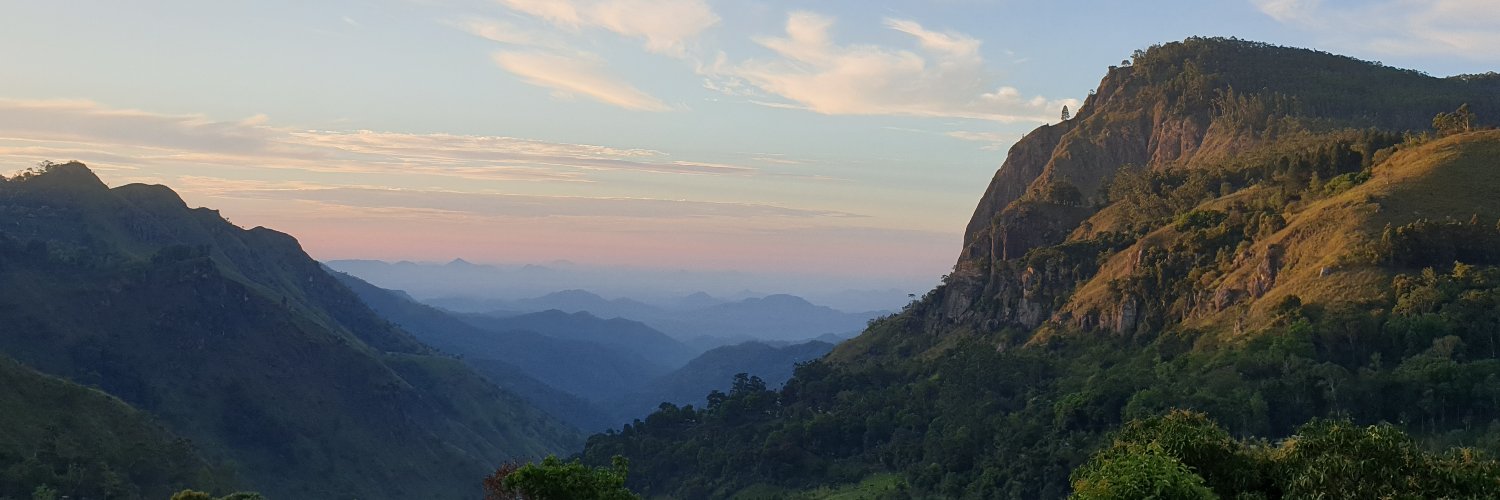 Stephan Pfister banner