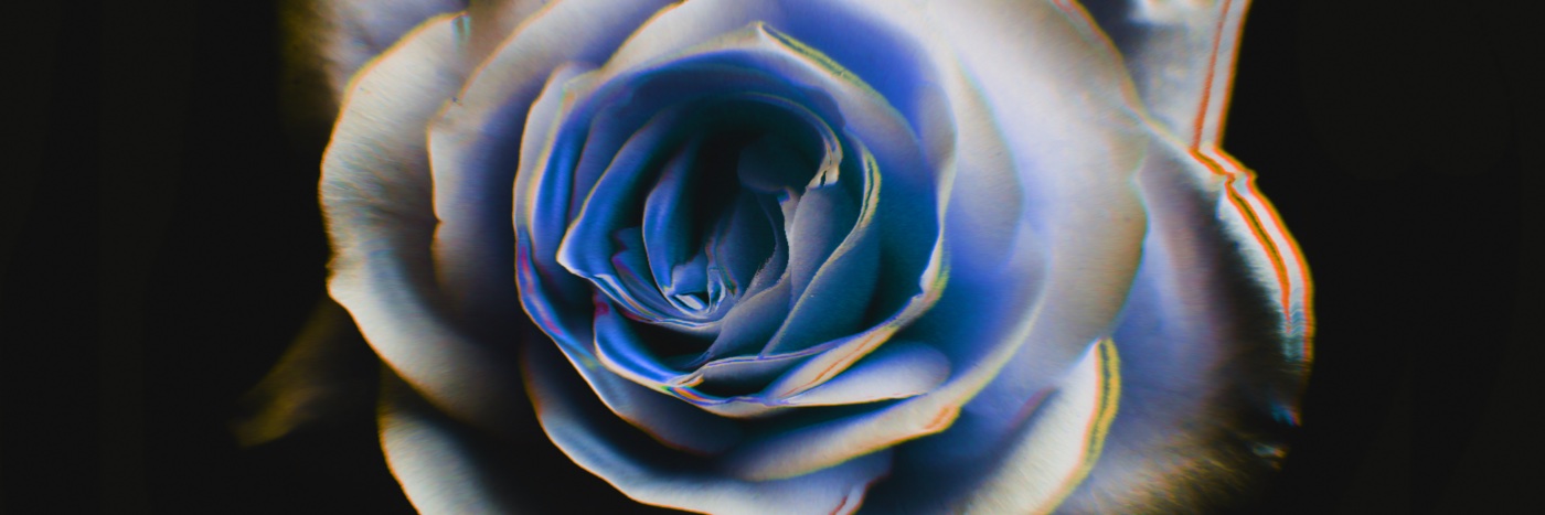 HELLO, HI! banner