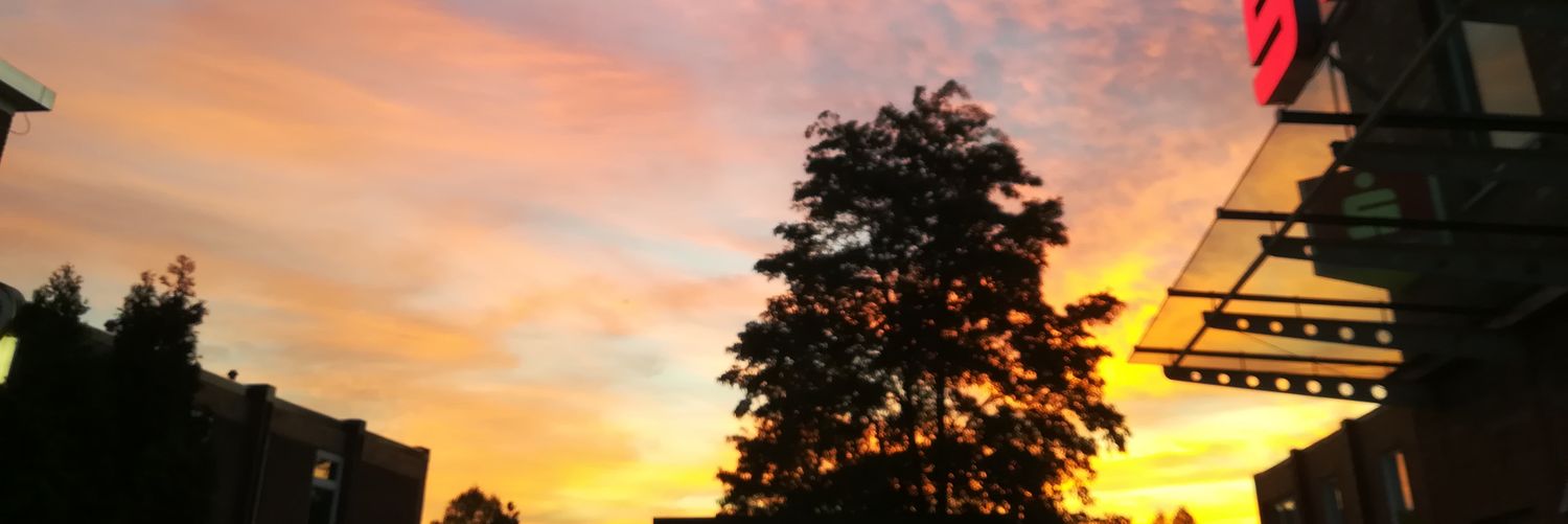 real__mna's profile banner image