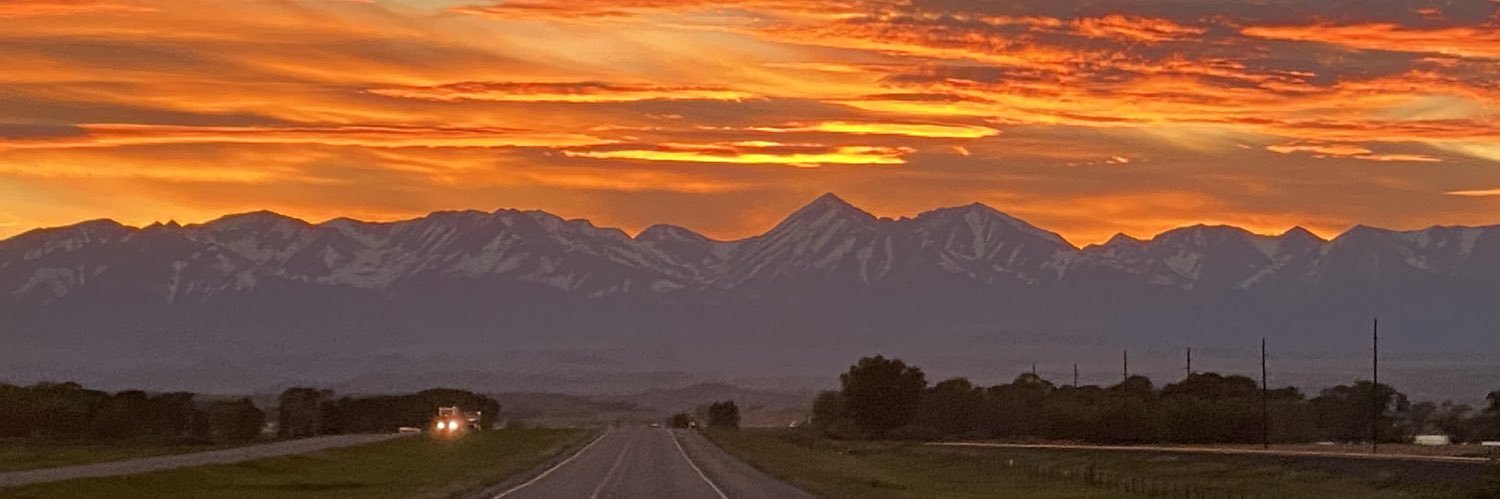 Michael Rainer banner