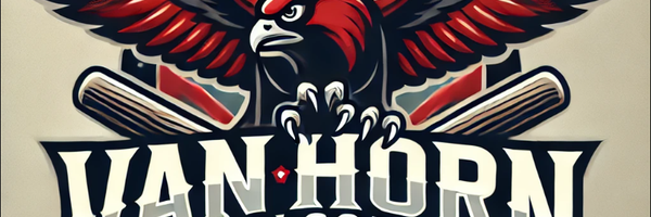 VHBaseball1971 Profile Banner