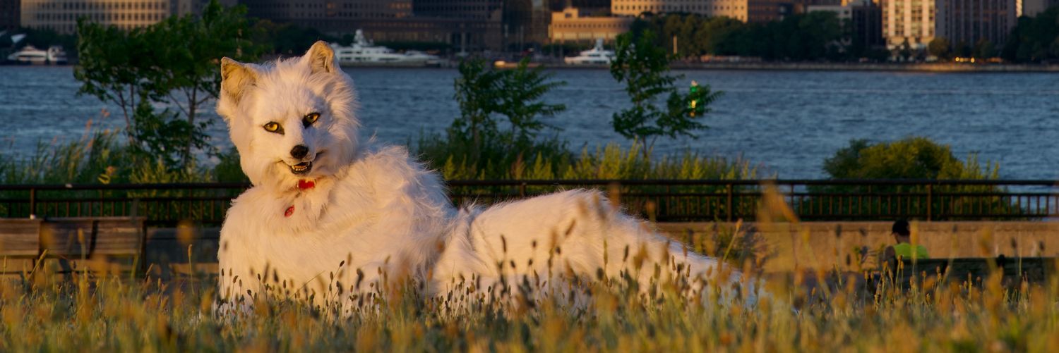 witlupus's profile banner image