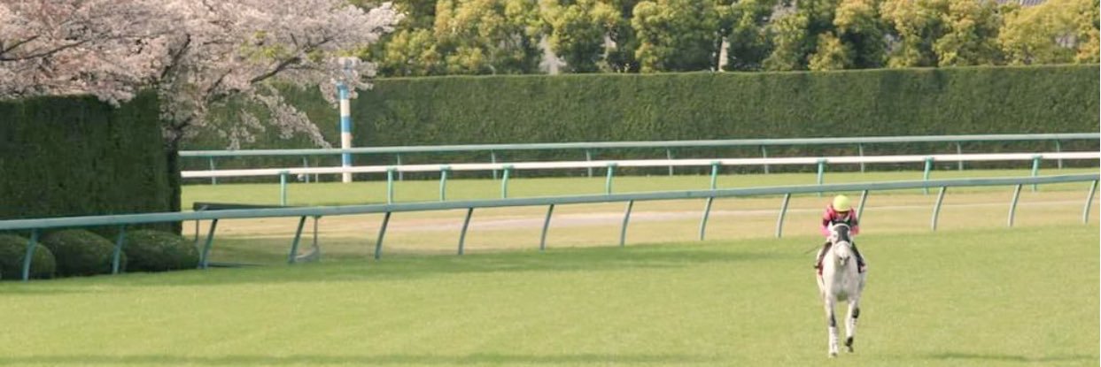 akakkousuke's profile banner image