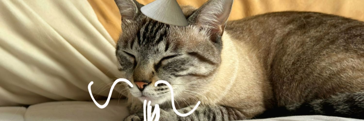 CecconJr's profile banner image