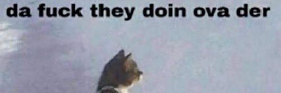 CryptoKhaleesi ⛩🪬 banner