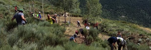 ProjecteBoscos Profile Banner