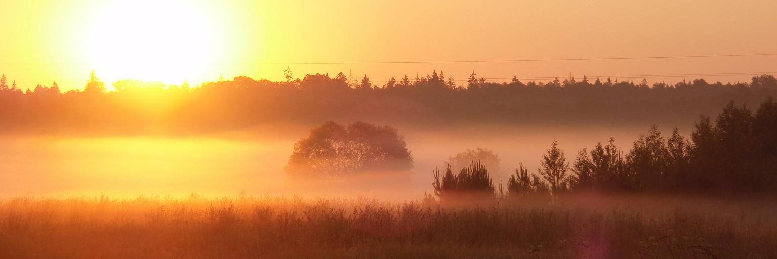 ℙ𝕖𝕖𝕣 ℂ𝕪𝕣𝕚𝕒𝕔𝕜𝕤 banner