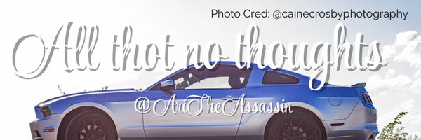 AriTheAssassin Profile Banner