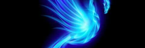 collinsmaccoll2's profile banner image