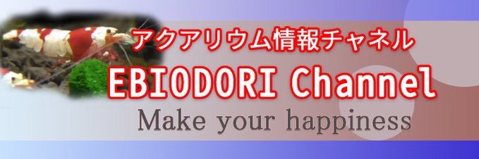 ebiodori19's profile banner image