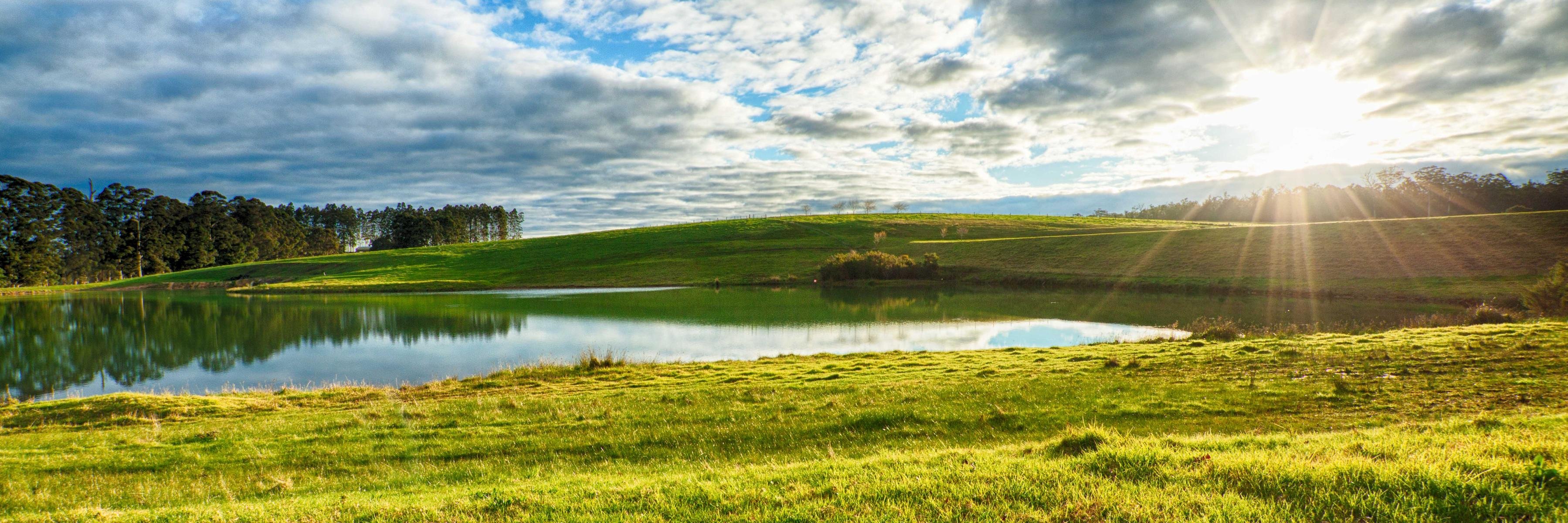 truffle_hill's profile banner image
