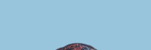 BossdUpCo's profile banner image