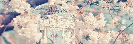 Vitha_Delonix's profile banner image
