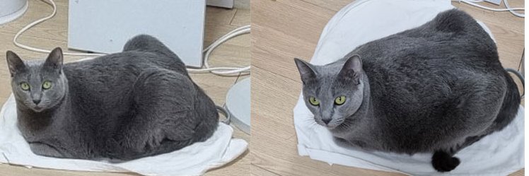 Myless's banner