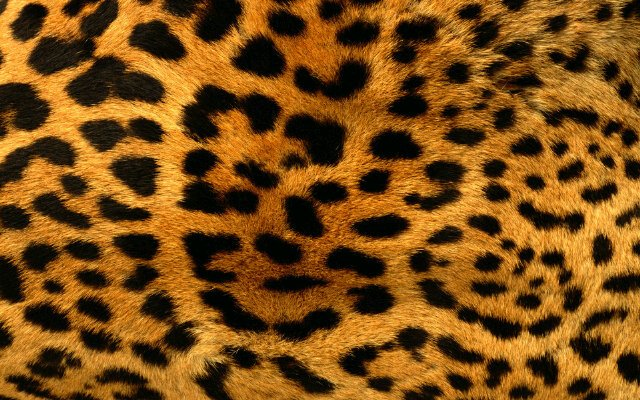 Retnopuspitasa3's profile banner image