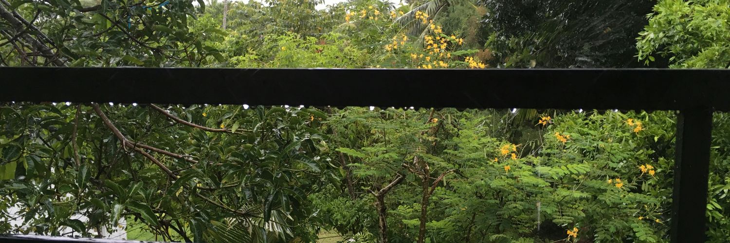 mihiraj91's profile banner image