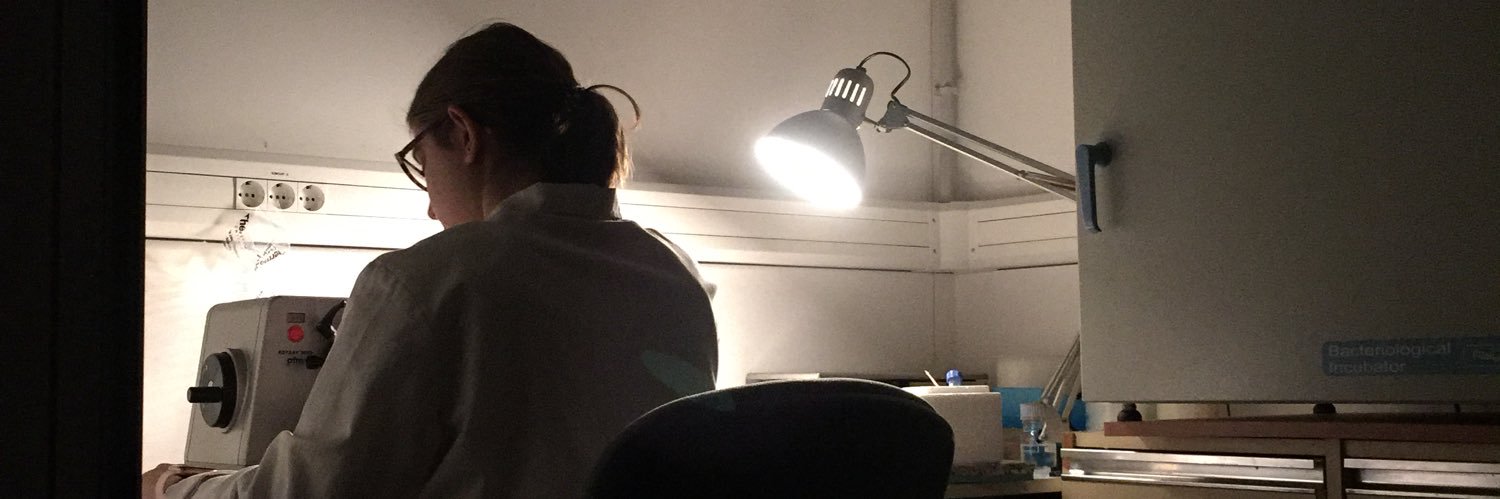 Maria Rosselló banner