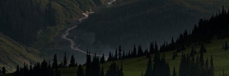 cochonpp's profile banner image