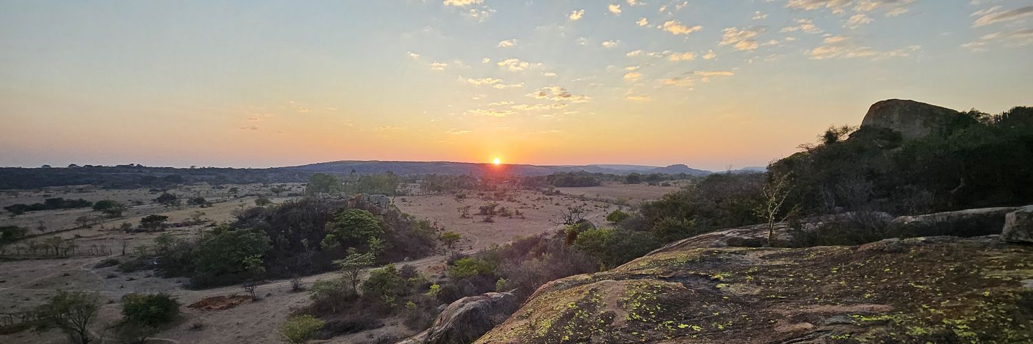 niqsibanda's profile banner image
