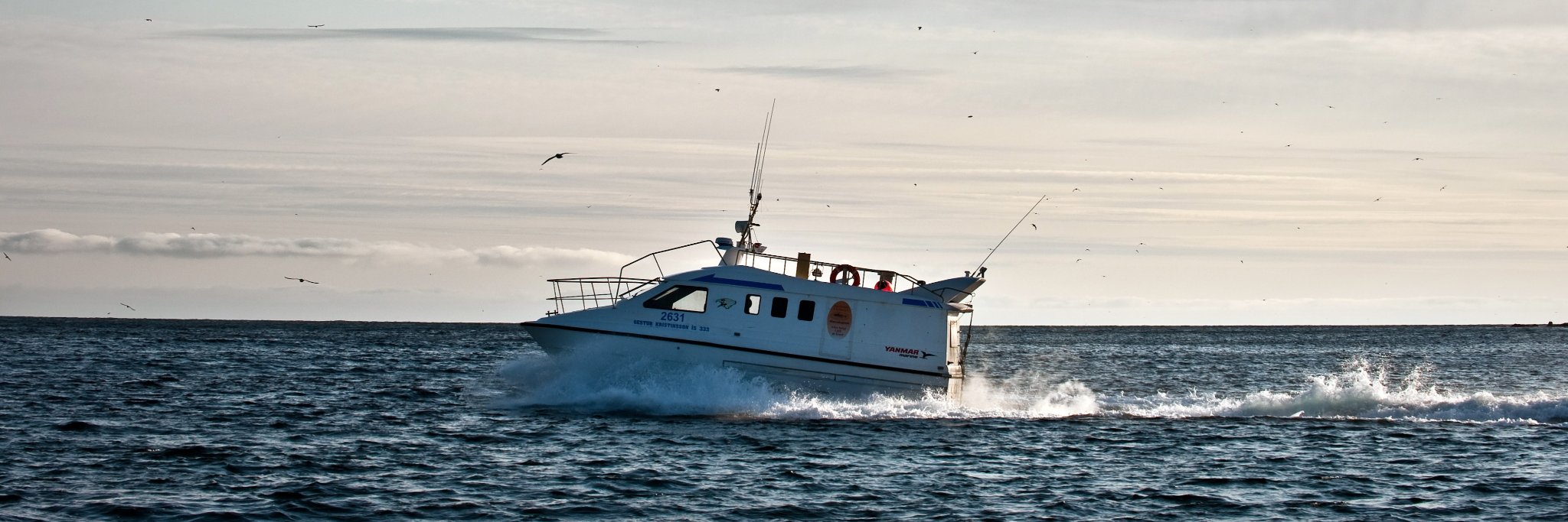 Chef's Catch Kitchen banner