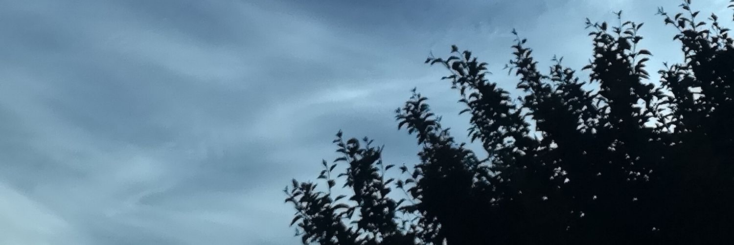 ImDor_'s profile banner image