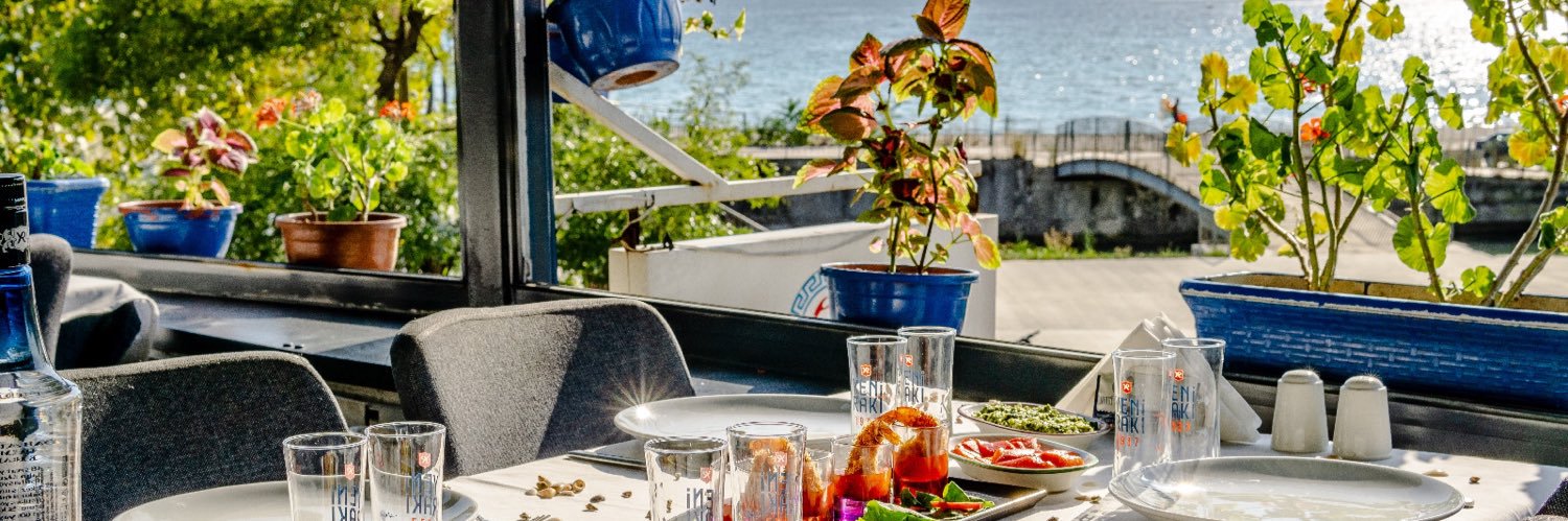 MAVİ YENGEÇ banner