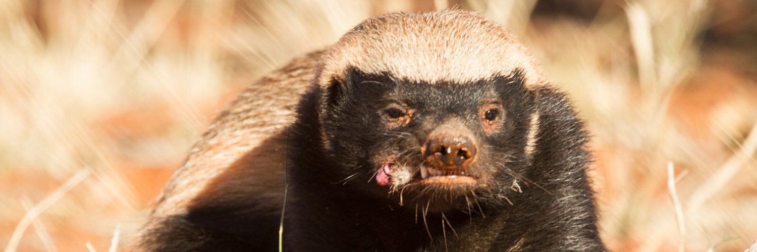 Dr. Angry Grad banner