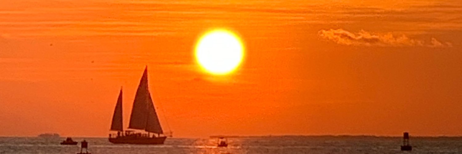 𝗡𝗶𝗰𝗸 𝗦𝗮𝗿𝗻𝗲𝗹𝗹𝗶 banner