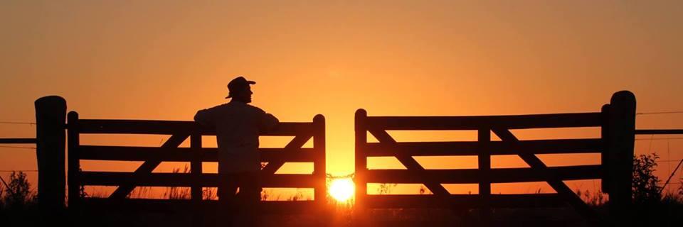 cesargagliardo's profile banner image