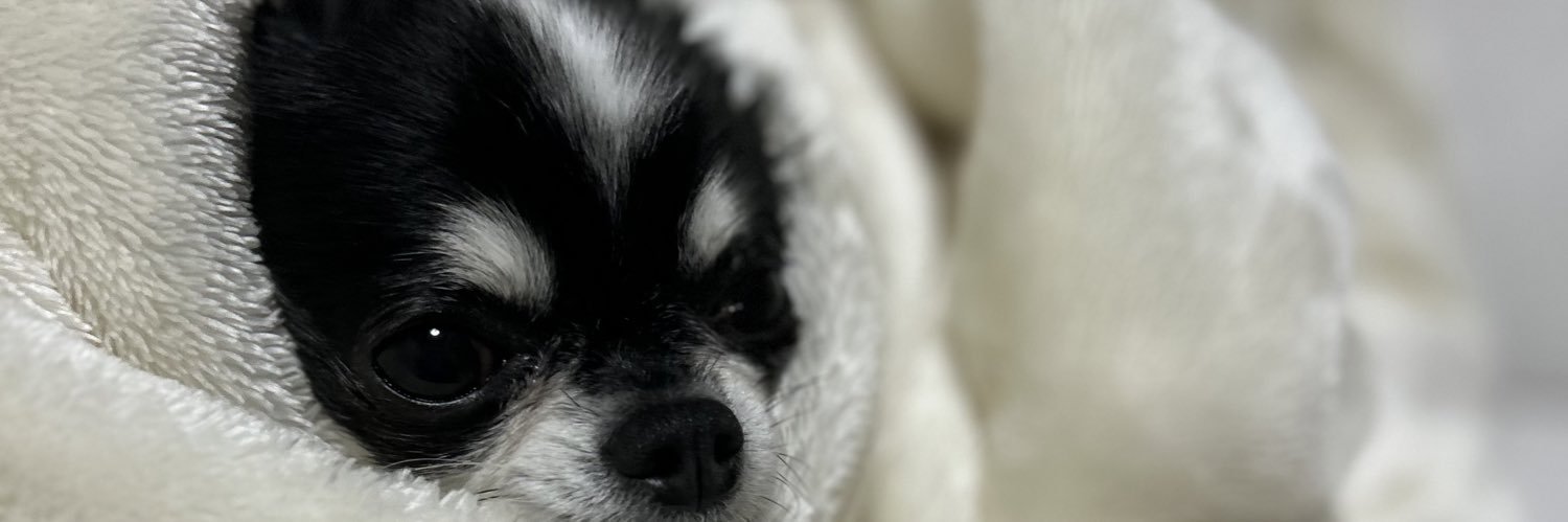 misakin30's profile banner image