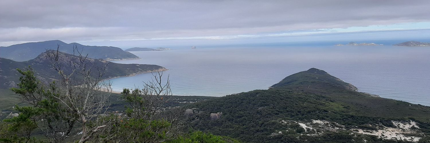 seatera526's profile banner image