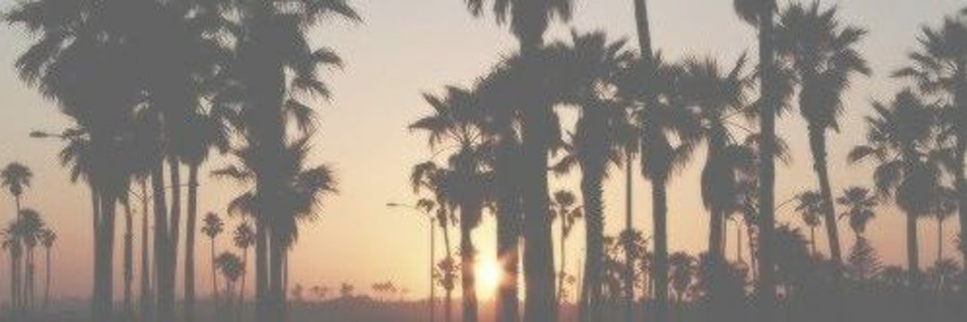 tyneemynee's profile banner image