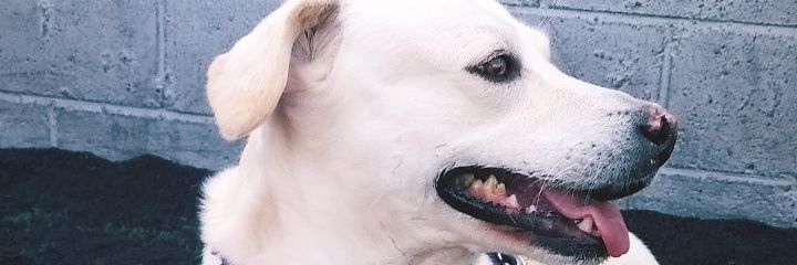 Kevca05's profile banner image