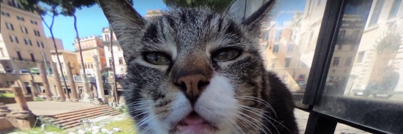 TheSquigler's profile banner image