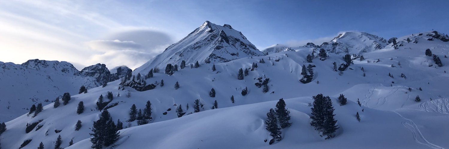 Andreas Salzburger banner