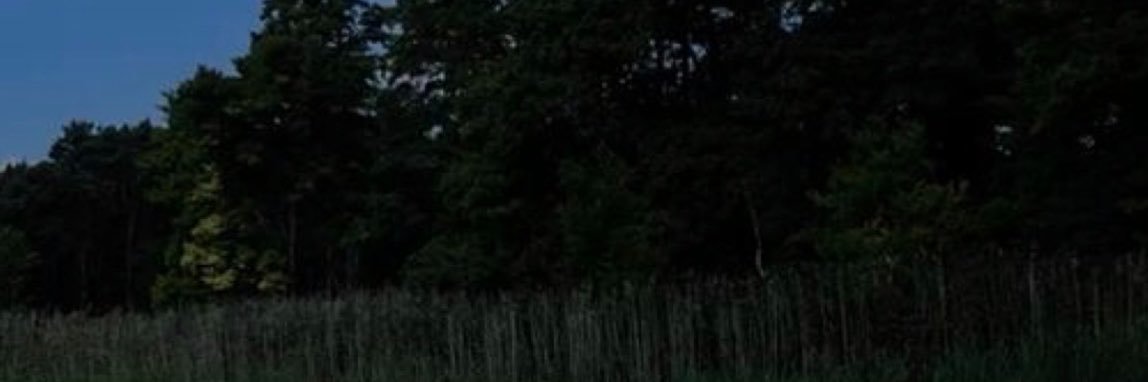 shexl6's profile banner image
