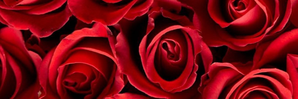 MsRoyalGoddess's profile banner image