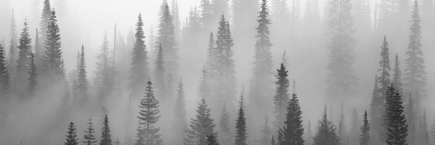 rickypputra's profile banner image