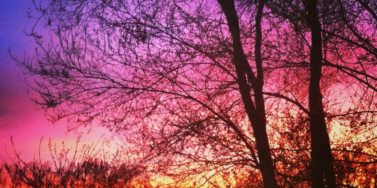 mylifeisnormal's profile banner image