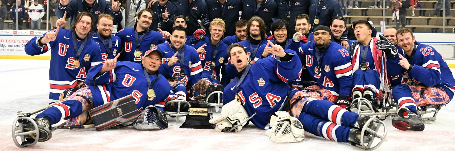 Para Ice Hockey's banner