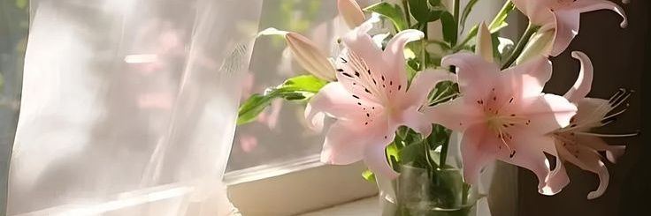 mayla migrain banner