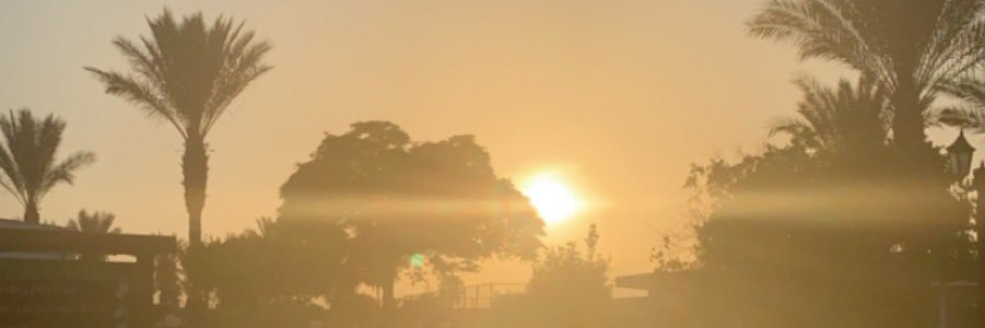 elliculfrn's profile banner image