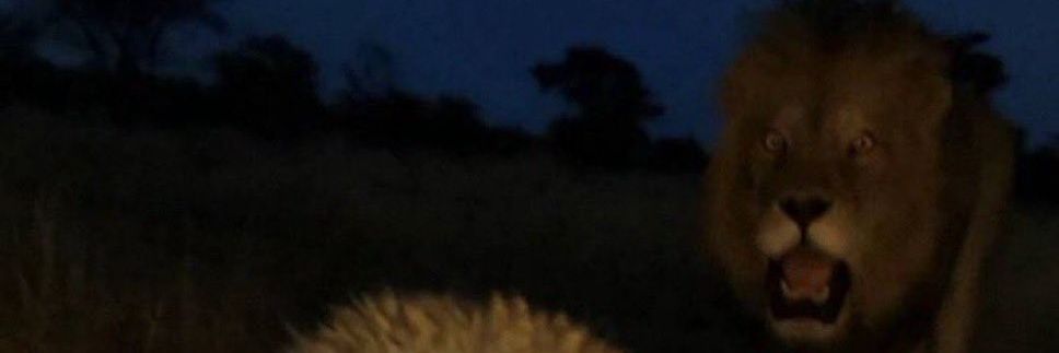 GabrielCaceta's profile banner image