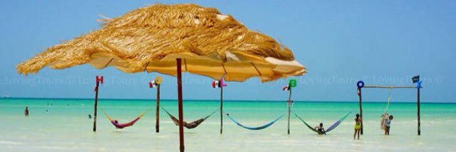 Amy Elizabeth banner